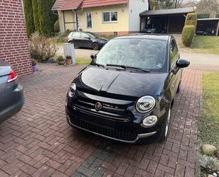 Fiat Fiat 500 Lounge-Dualogic-Navi-Carplay-Android Au Gebrauchtwagen