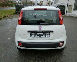 Fiat Fiat Panda My Panda Gebrauchtwagen