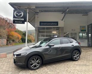 Mazda Mazda CX-30 Selektion X 2,0 186 M-Hybrid Automatik Gebrauchtwagen