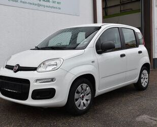 Fiat Fiat Panda 1.2 POP Klima Gebrauchtwagen