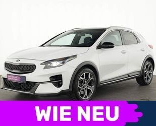 Kia Kia XCeed Launch Edition Pano|Parksystem|SHZ|JBL|P Gebrauchtwagen