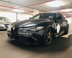 Alfa Romeo Alfa Romeo Giulia 2.9 V6 Bi-Turbo 375 kW AT8 Quadr Gebrauchtwagen