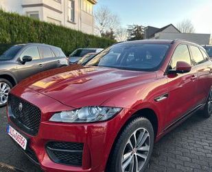 Jaguar Jaguar F-Pace F-PACE R-Sport AWD Gebrauchtwagen