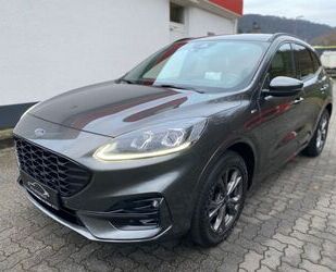 Ford Ford Kuga ST-Line X Gebrauchtwagen