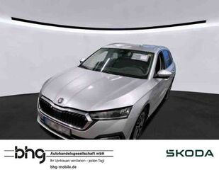 Skoda Skoda Octavia Combi 2.0 TDI DSG Standhzg HUD Navi Gebrauchtwagen