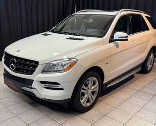 Mercedes-Benz Mercedes-Benz ML 350 BlueEfficiency |TEMPO|LEDER|M Gebrauchtwagen