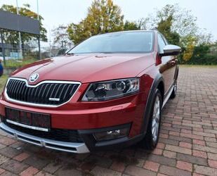 Skoda Skoda Octavia Combi Scout 4x4 Gebrauchtwagen