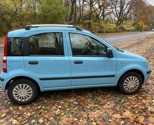 Fiat Fiat Panda Gebrauchtwagen