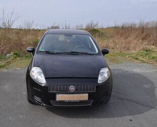 Fiat Fiat Punto 1.4 8V Active Active Gebrauchtwagen