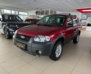 Ford Ford Maverick Highclass 4WD/LEDER/KLIMA/1.-HAND Gebrauchtwagen