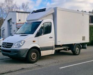 Mercedes-Benz Mercedes-Benz Sprinter II Pritsche KÜHLFAHRZEUG|bi Gebrauchtwagen