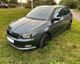 Skoda Skoda Fabia 1.2l TSI 66kW Style Style Gebrauchtwagen