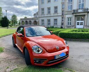 VW Volkswagen The Beetle Cabriolet 1.2 TSI Sondermode Gebrauchtwagen