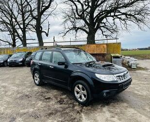 Subaru Subaru Forester Active 2,0D 4X4 ALLRAD BJ-2013 KLI Gebrauchtwagen