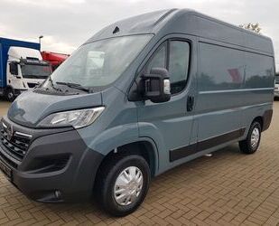 Opel Opel Movano C Kasten HKa L2H2 3,5t Edition Gebrauchtwagen