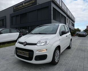 Fiat Fiat Panda Base Gebrauchtwagen