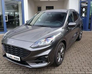 Ford Ford Kuga ST-Line X Gebrauchtwagen