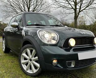 Mini MINI Cooper S Countryman ALL4 Allrad Pano Xenon P Gebrauchtwagen