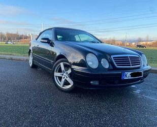 Mercedes-Benz Mercedes-Benz CLK 200 KOMPRESSOR ELEGANCE Cabrio Gebrauchtwagen