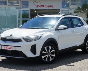 Kia Kia Stonic 1.2 Vision Sitzheizung Spurhalte Tempom Gebrauchtwagen