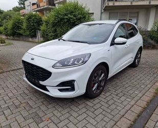 Ford Ford Kuga 2.0 EcoBlue Hybrid ST-Line ST-Line Gebrauchtwagen