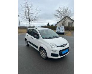 Fiat New Panda Gebrauchtwagen