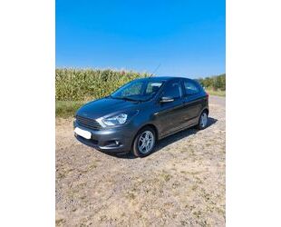 Ford Ford Ka/Ka+ 1,2l Ti-VCT Cool & Sound PDC Alufelgen Gebrauchtwagen