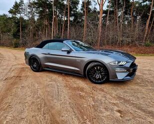 Ford Ford Mustang 5.0 GT V8 Cabrio, Magne Ride, Gar.2-2 Gebrauchtwagen