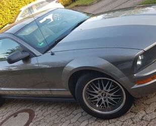 Ford Mustang Gebrauchtwagen