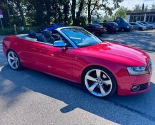 Audi Audi S5 Cabriolet 3.0 TFSI quattro RS5-Rotor 20Zol Gebrauchtwagen