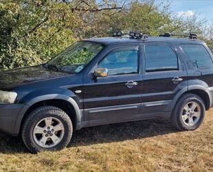 Ford Ford Maverick 2,3 XLT Gebrauchtwagen