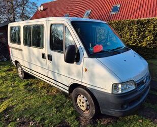 Fiat Fiat Ducato Gebrauchtwagen