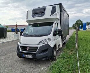 Fiat Fiat Ducato Gebrauchtwagen