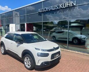 Citroen Citroën C4 Cactus PureTech 110 S&S Shine Gebrauchtwagen