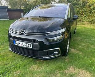 Citroen Citroën C4 SpaceTourer BlueHDi 130 Stop&Start FEEL Gebrauchtwagen