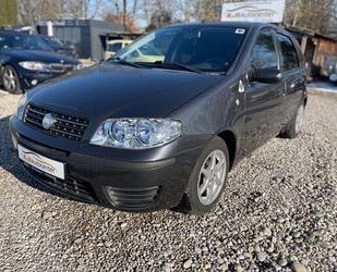 Fiat Punto Gebrauchtwagen