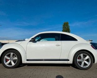 VW Volkswagen Beetle Lim. Sport|Sound|Oriyxeeiß Metal Gebrauchtwagen