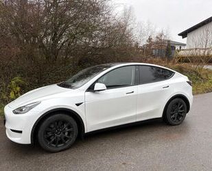 Tesla Tesla Model Y Hinterradantrieb RWD Leder AHK MWST Gebrauchtwagen