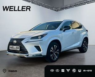 Lexus Lexus NX 300h Style Edition *Bi-LED*ACC*CAM*SHZ*Ca Gebrauchtwagen