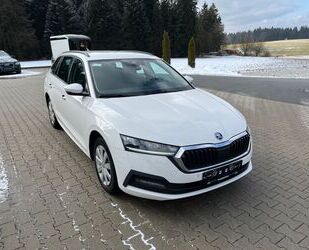 Skoda Skoda Octavia Combi Ambition 2.0TDI 150PS DSG LED Gebrauchtwagen