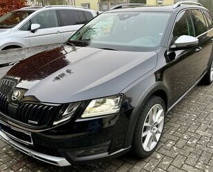 Skoda Skoda Octavia 2.0 TSI DSG 4x4 Scout Combi Scout Gebrauchtwagen