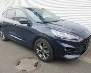 Ford Ford Kuga ST-Line X,Panno,Klima, Gebrauchtwagen