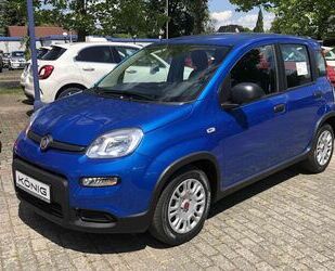 Fiat Fiat Panda MY24 1.0 Klima PDC Radio Gebrauchtwagen