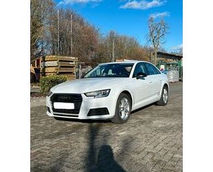 Audi Audi A4 B9 2.0 TDI Gebrauchtwagen