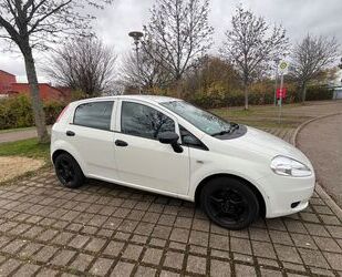 Fiat Fiat Punto 1.2 8V Klima, Einparkhilfe, 8-fach-bere Gebrauchtwagen