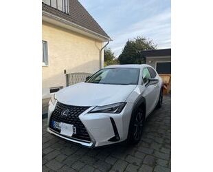 Lexus Lexus UX 250h Gebrauchtwagen