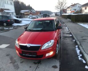 Skoda Skoda Fabia Active Klima PDC 8 fachbereift Gebrauchtwagen