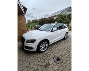 Audi Audi SQ5 3.0 TDI comp. tiptr. quattro - Gebrauchtwagen