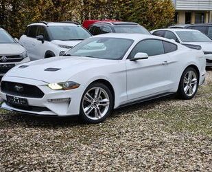 Ford Ford Mustang 2.3 EcoBoost Aut. Bang&Olufsen ACC Le Gebrauchtwagen