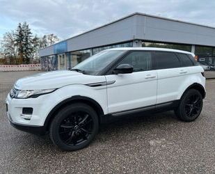 Land Rover Land Rover Range Rover Evoque Pure 4x4 * Kamera * Gebrauchtwagen